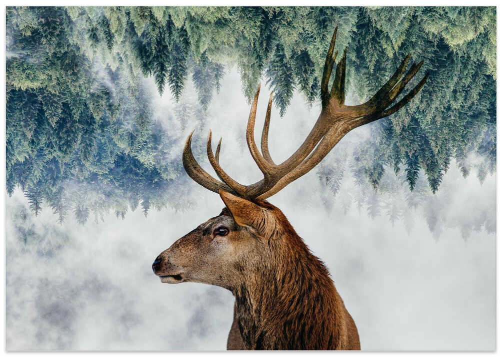 The Deer and the woods