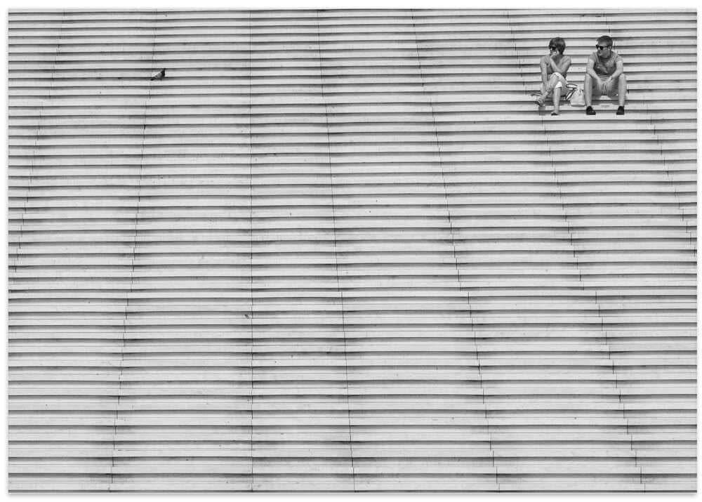 a short story about a lonely pigeon watching a couple of people