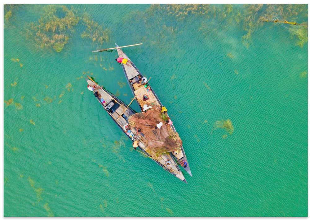 Fishing in the river