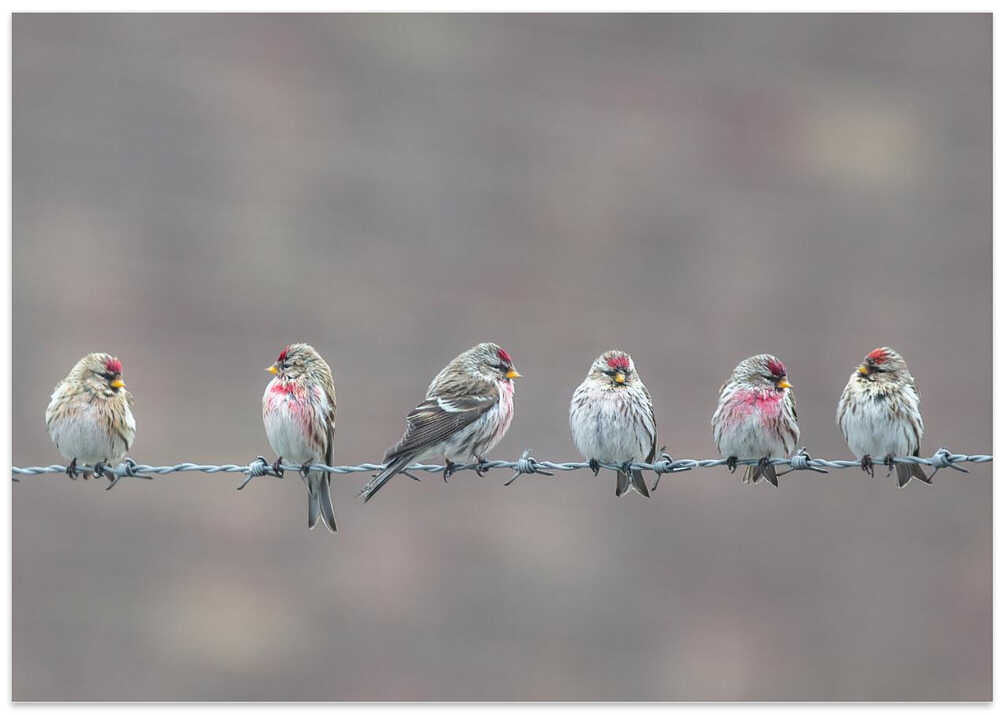 Social distance - not for us!