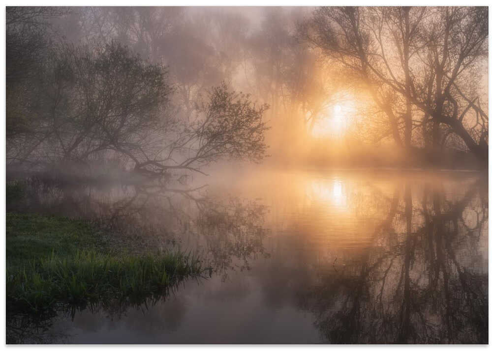 May morning in Zarechie...