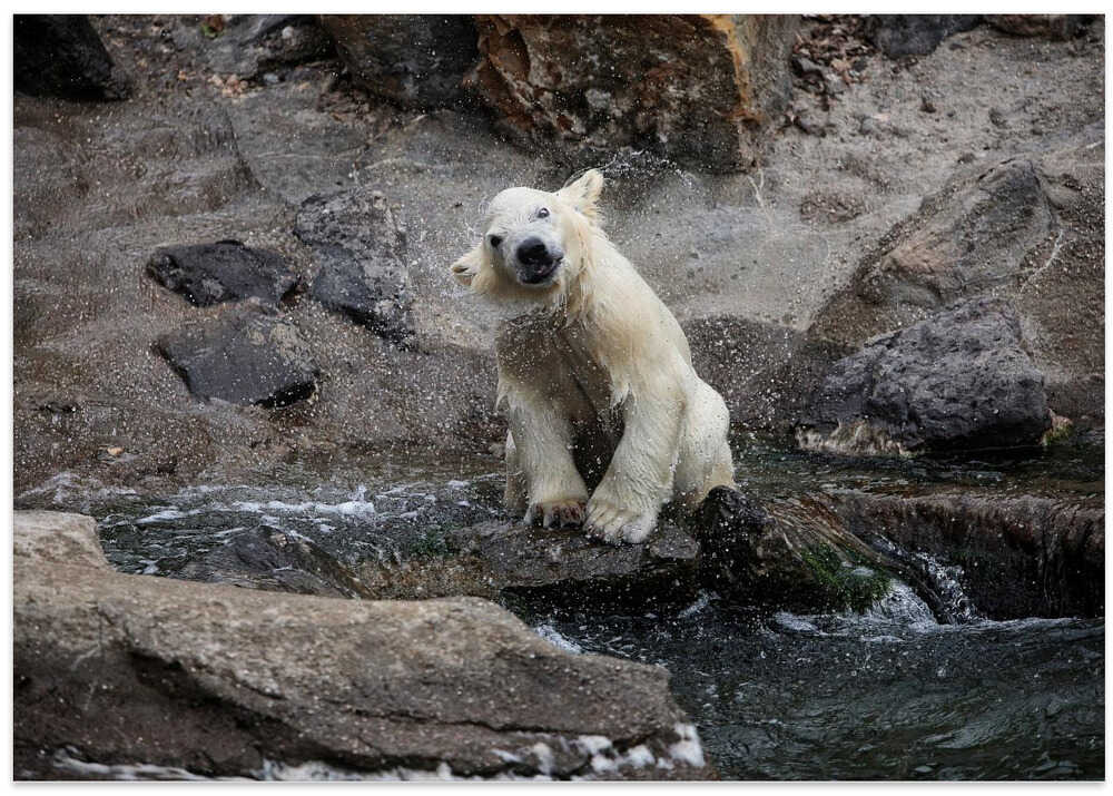 HER CUTENESS, the little water lover