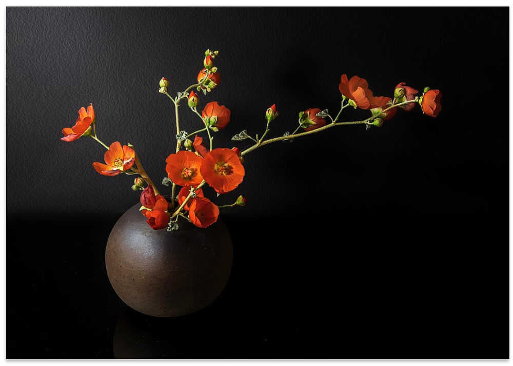 Blooming wildflowers