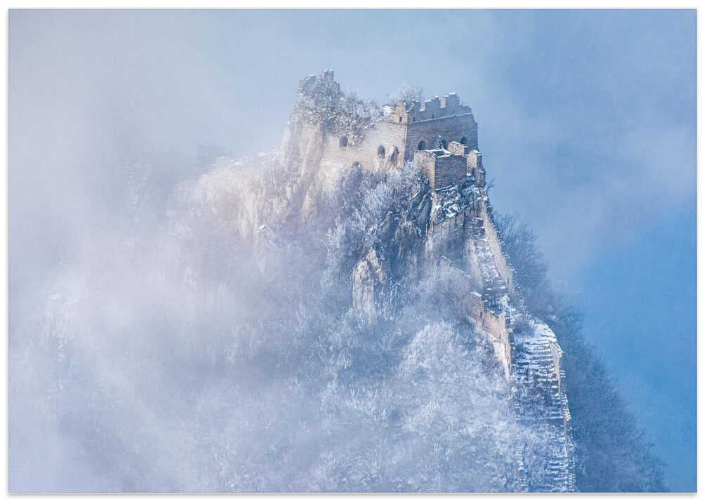 Vicissitudes of life