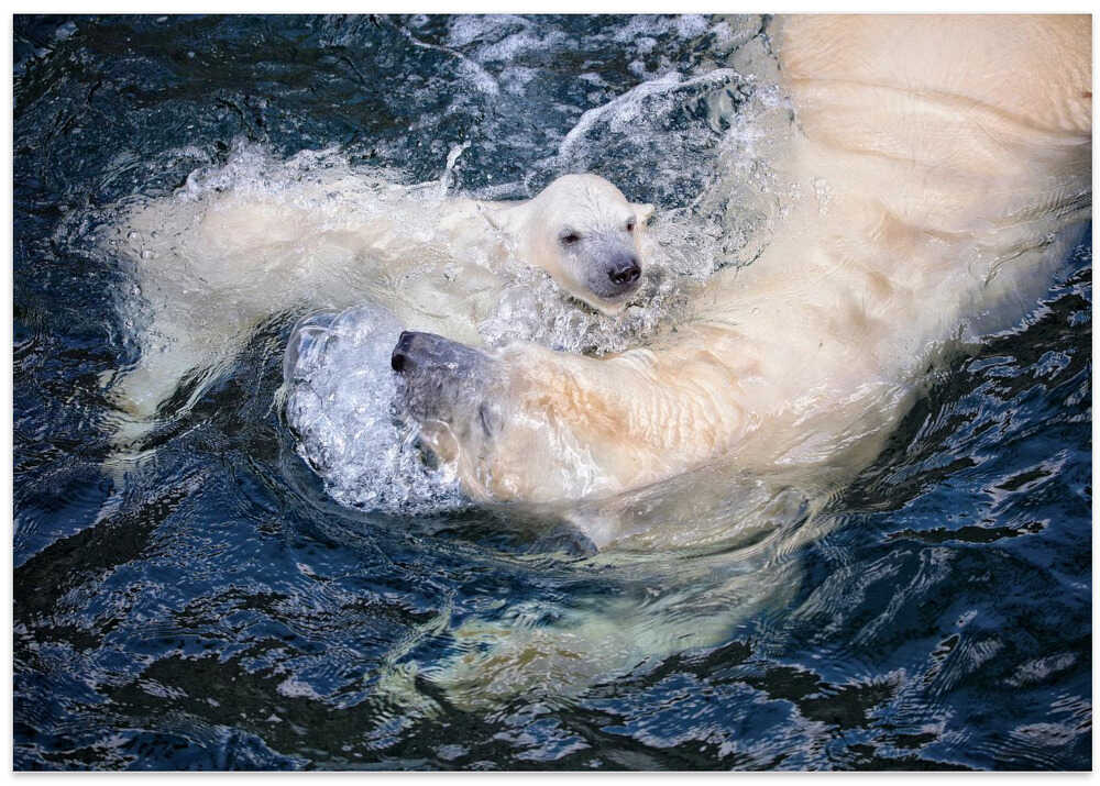 HER CUTENESS, swimming with mum