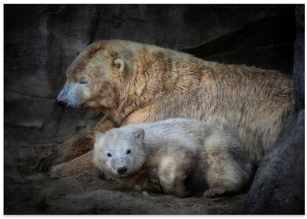 HER CUTENESS, the afternoon nap