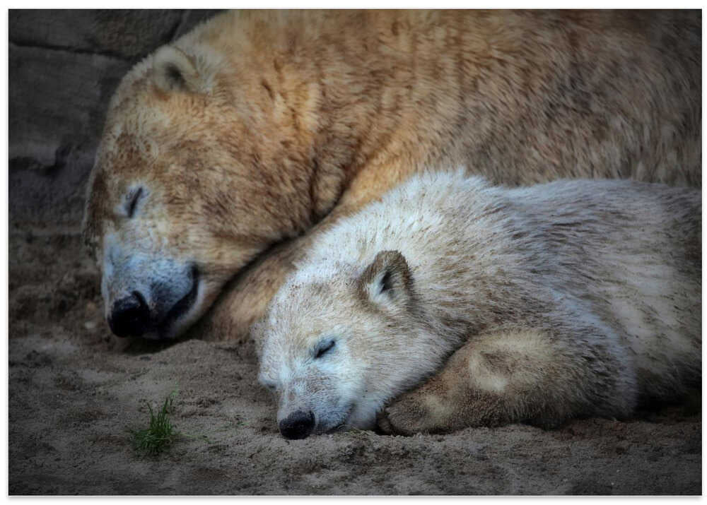 HER CUTENESS, togetherness ...