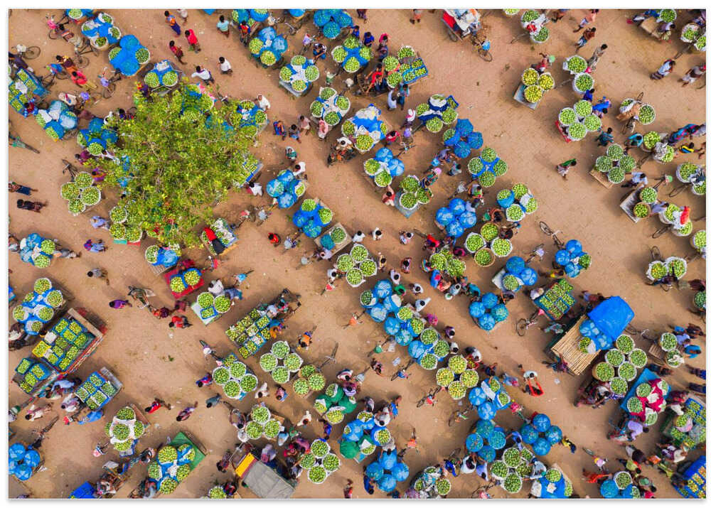 Largest fruit market