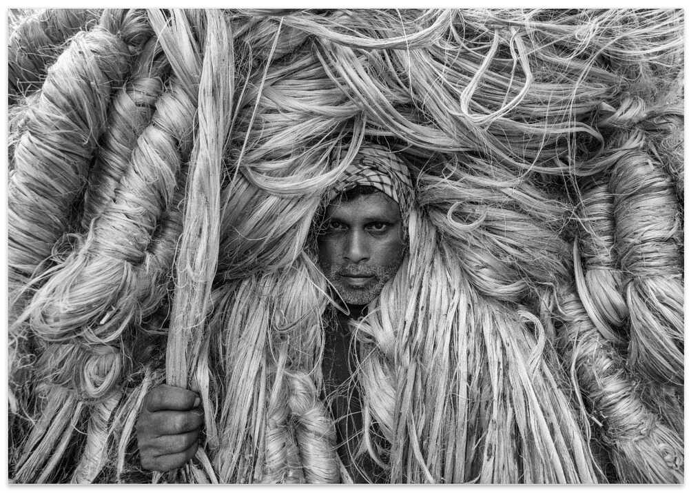 The man of golden fibers