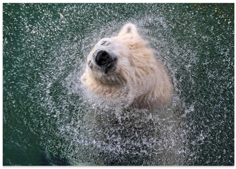 FRESHNESS FOR HOT SUMMER DAYS