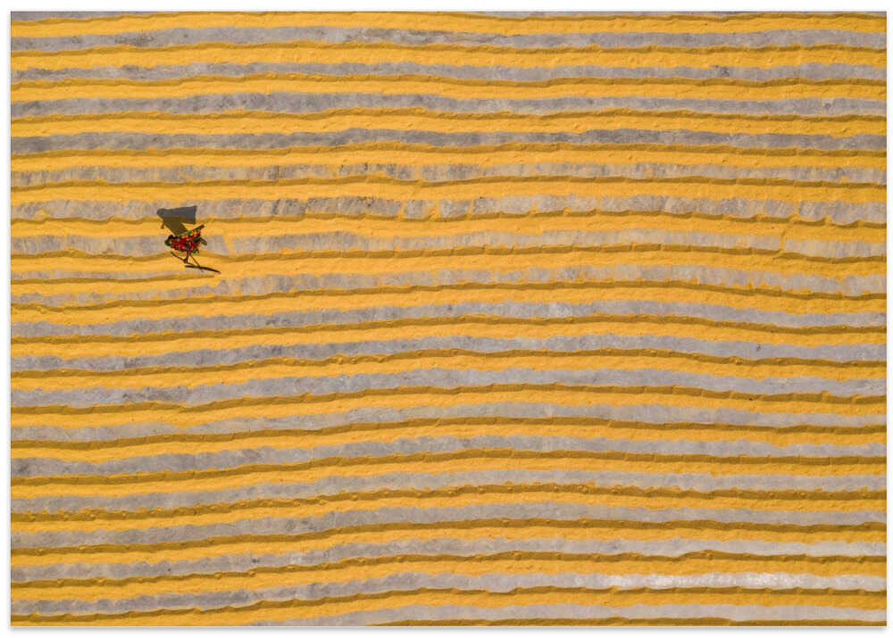 Woman working in rice field