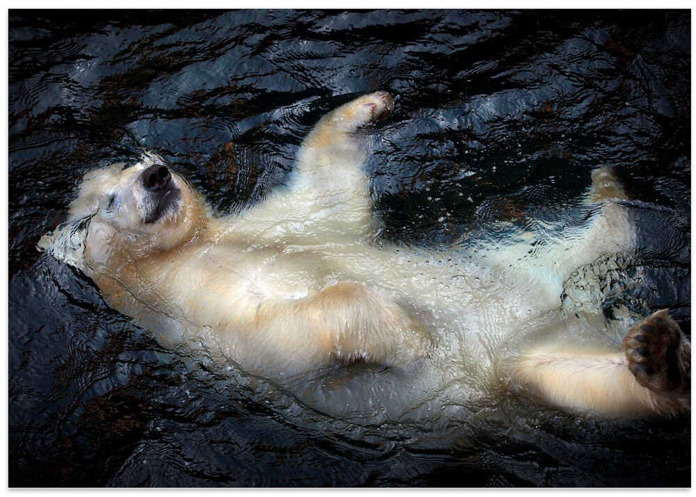 HER CUTENESS, floating ....