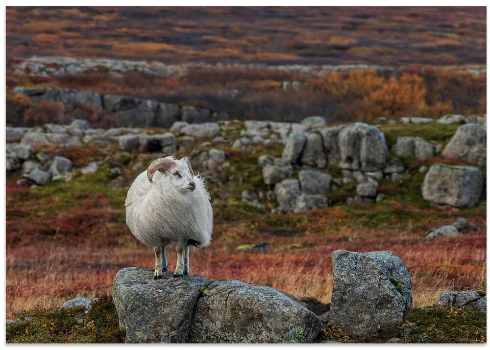 Waiting for the Winter