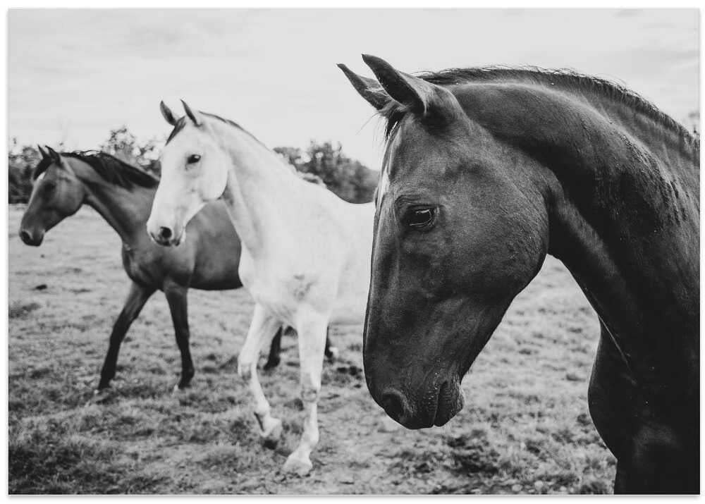 a short story about the foreground