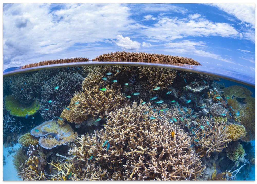 Split level from Mayotte reef