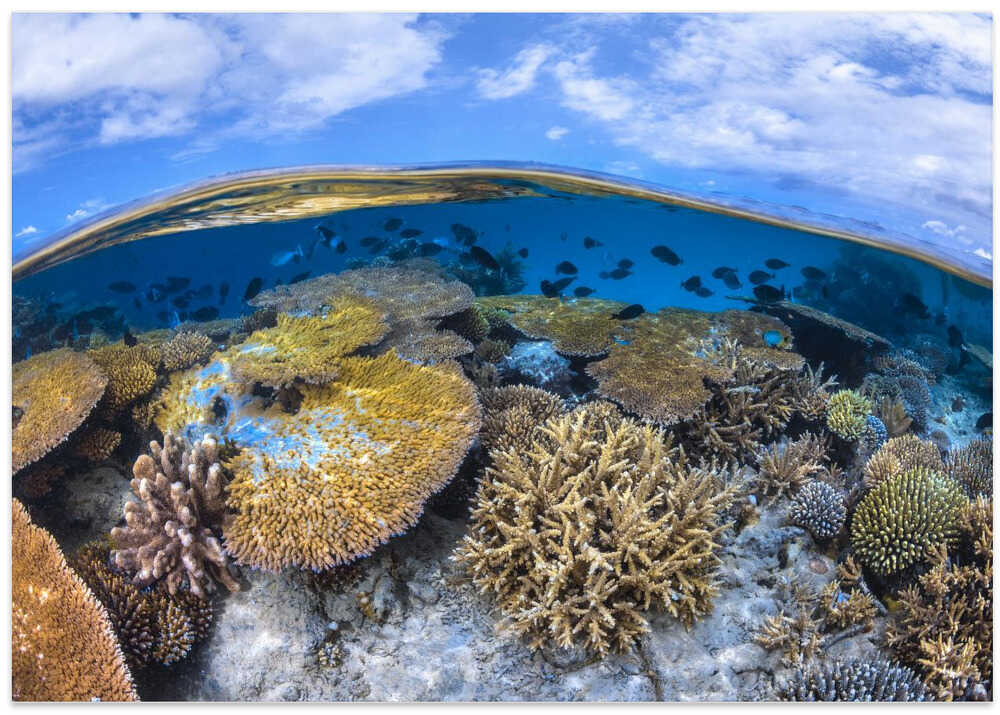 At the edge of the S-shaped pass