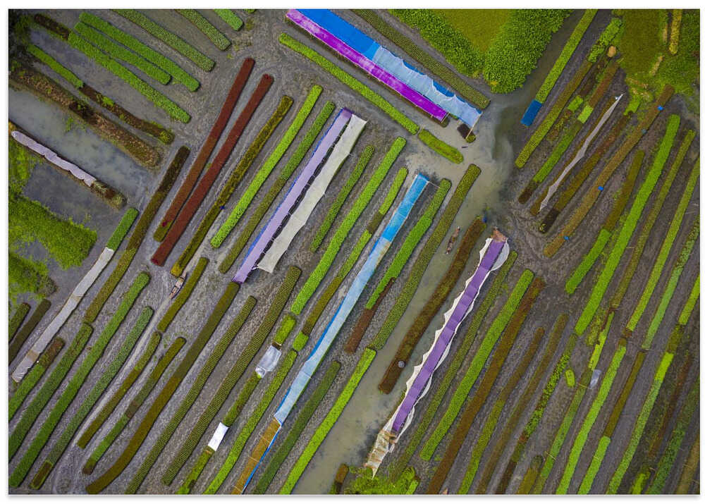 Traditional farming methods on floating islands