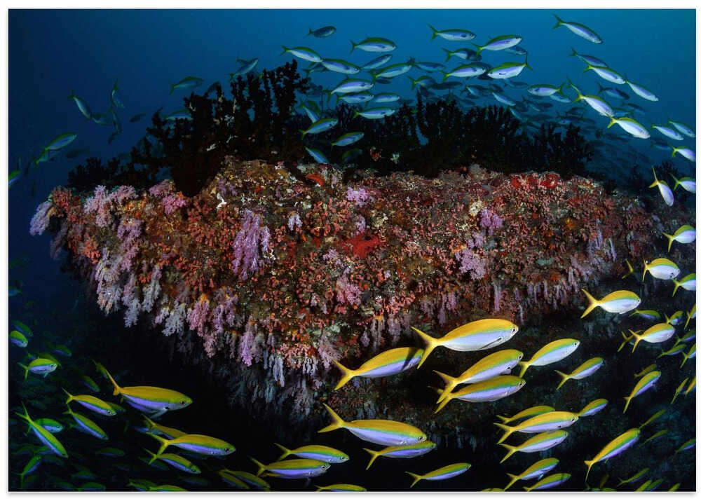 the magic roundabout