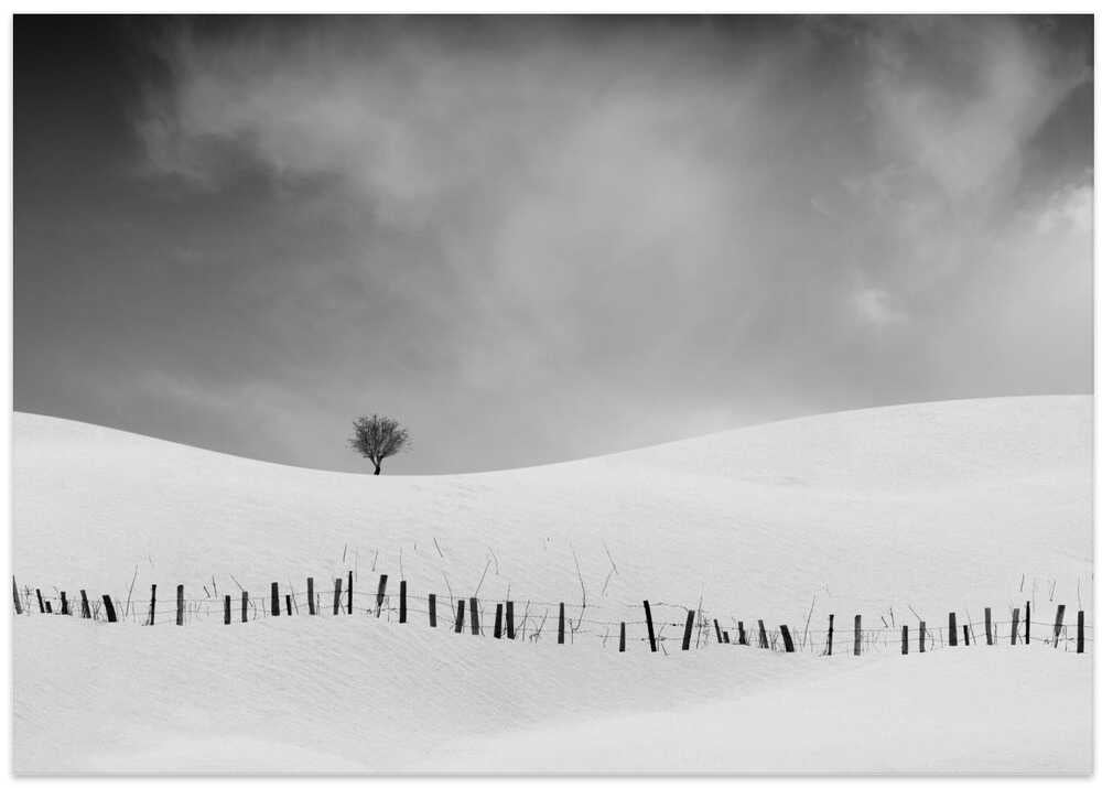 The sound of the fence