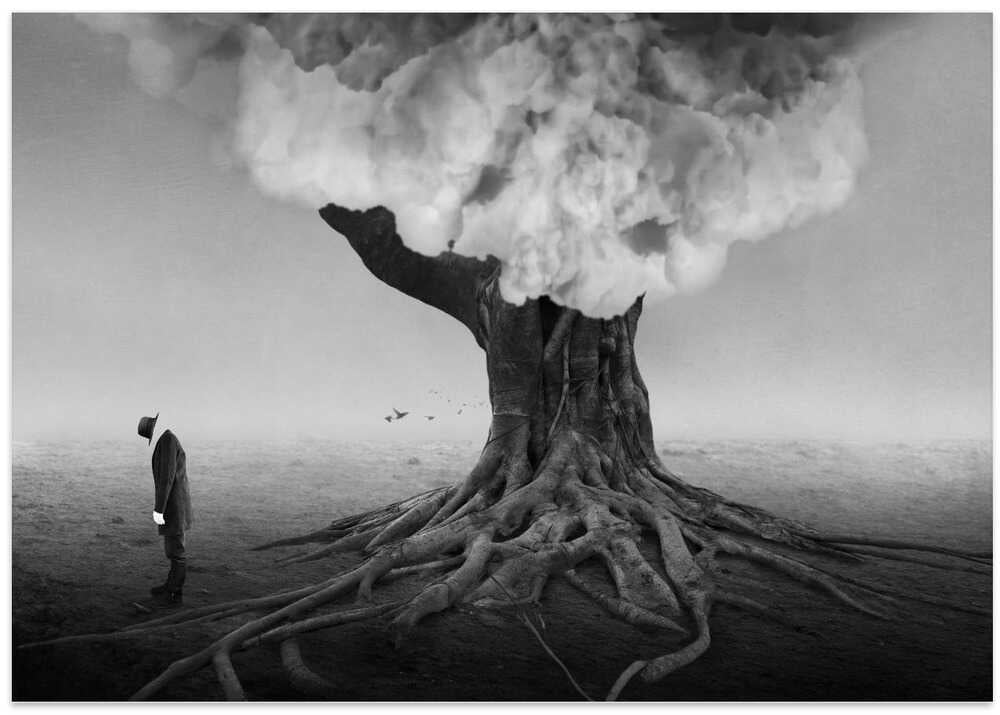 A place to enjoy the cool