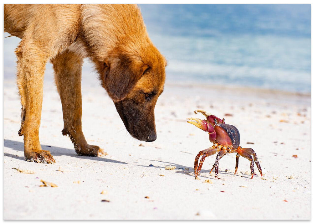 Art Prints of Meeting on the beach