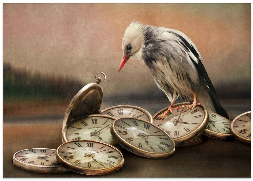 Eternal living environment