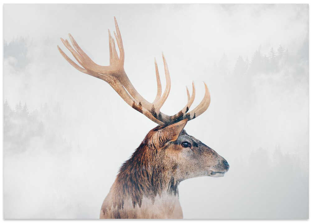 Stag