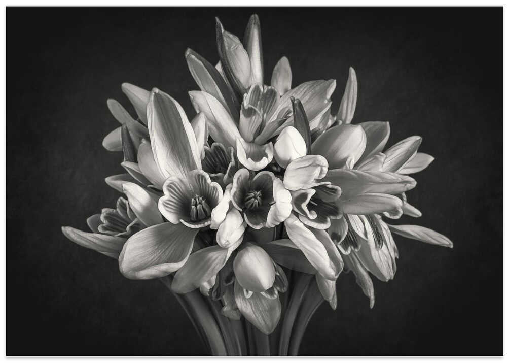 Suddenly From Nowhere