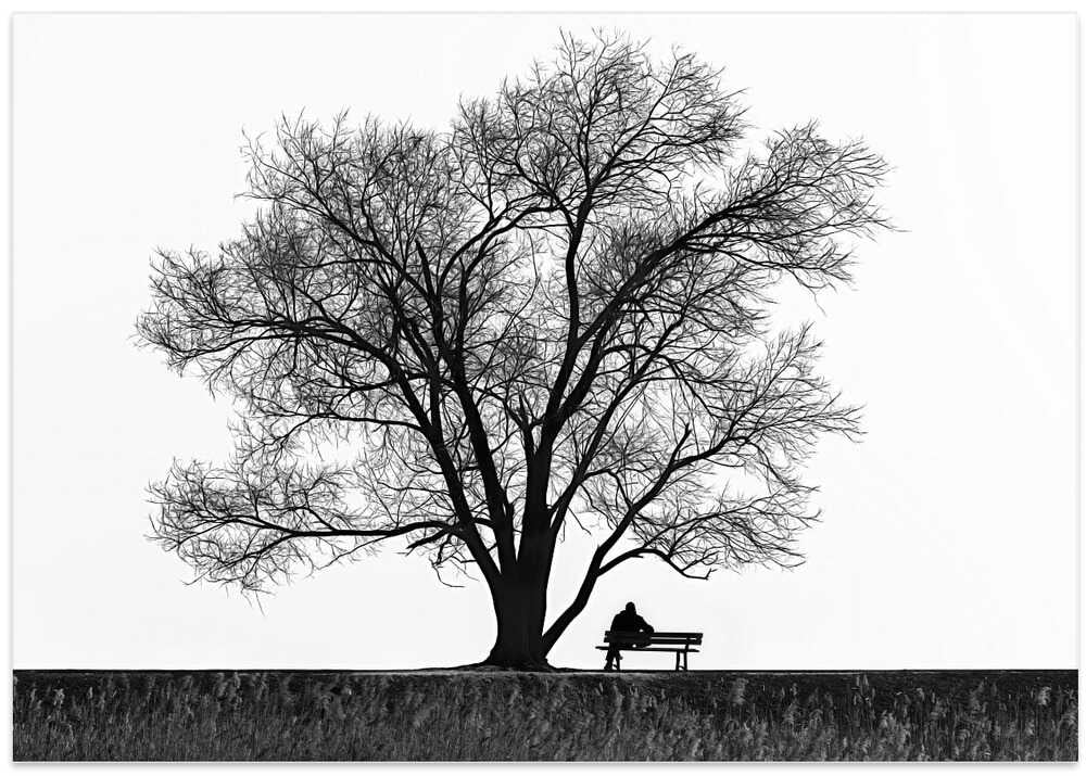 Pleasurable Solitude