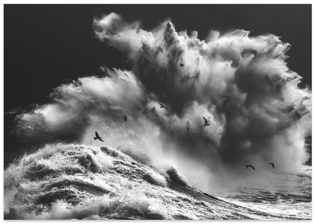 BIRDS IN THE STORM (Part 11)