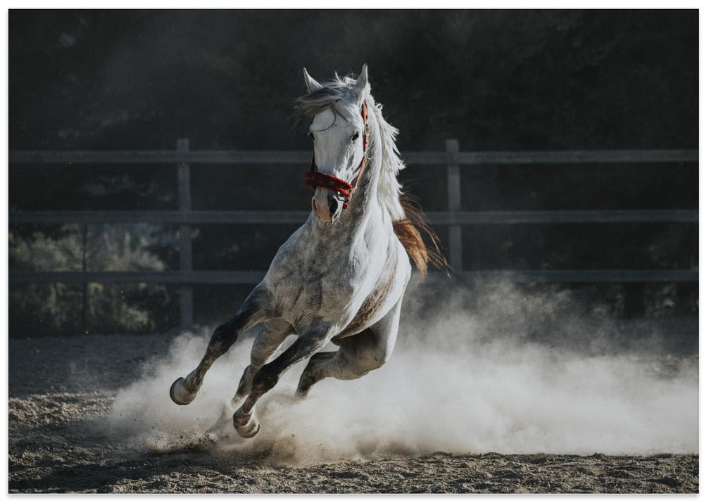 Art Prints of ... ::: Doludizgin ::: ...