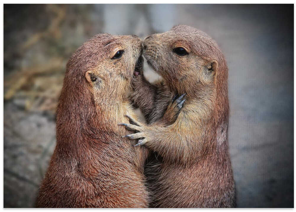 WHEN TIME STANDS STILL ....