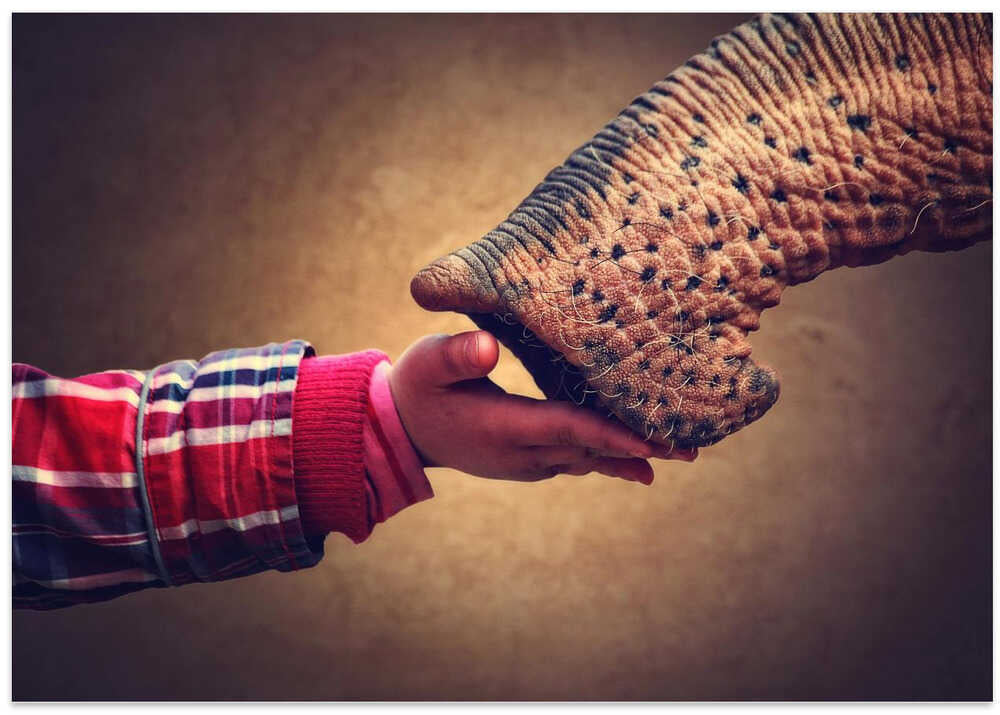 THIS INDESCRIBABLE FEELING OF CLOSENESS