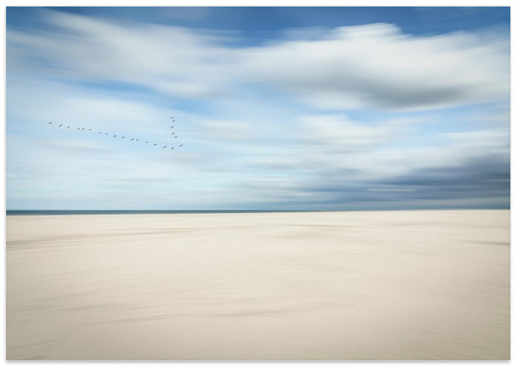 birds at the seaside