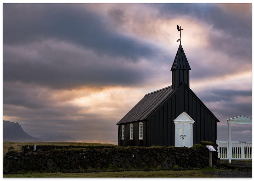 Black bird enjoying the sunset