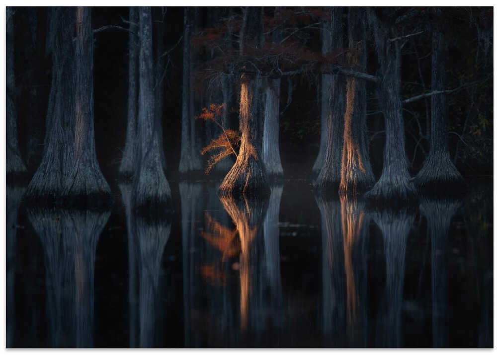 A new morning, a new life...