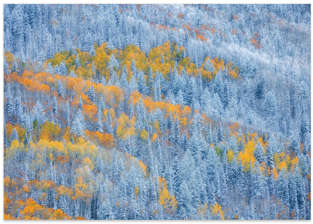 Transition of Seasons