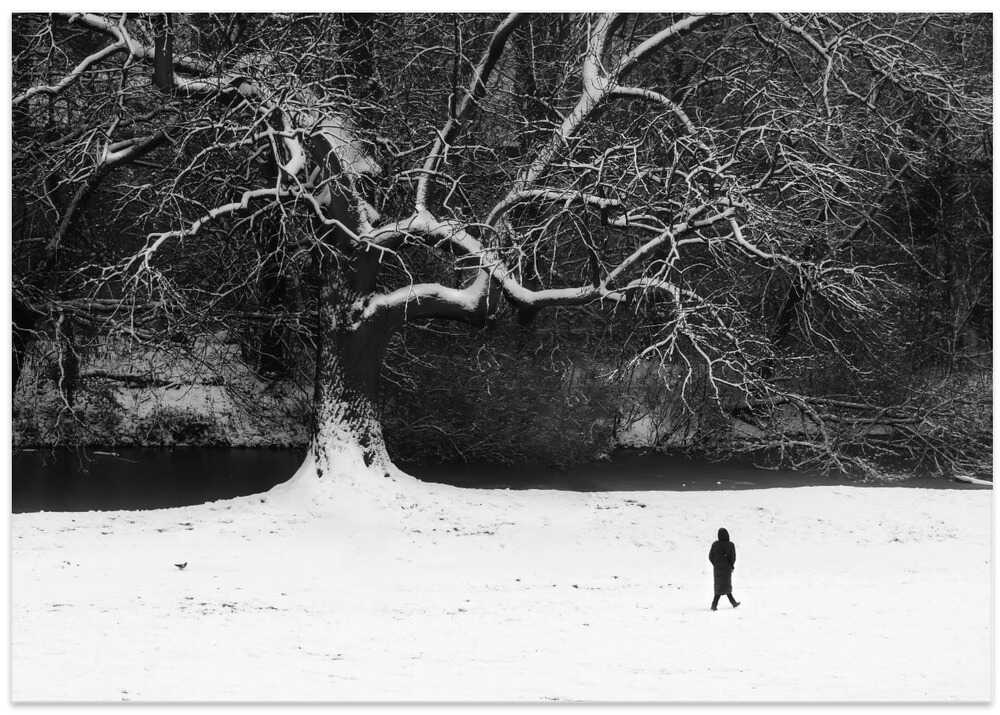 Walk in black and white.