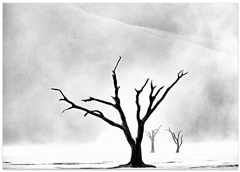 Namibia: The Spirit of Wilderness