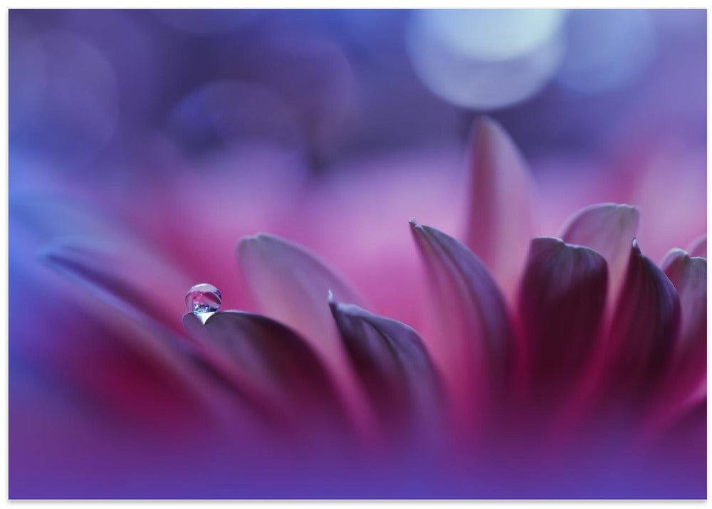 Blossoming Heart...II