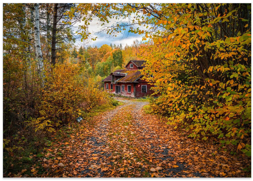 Old mill surrounded by autumn colors