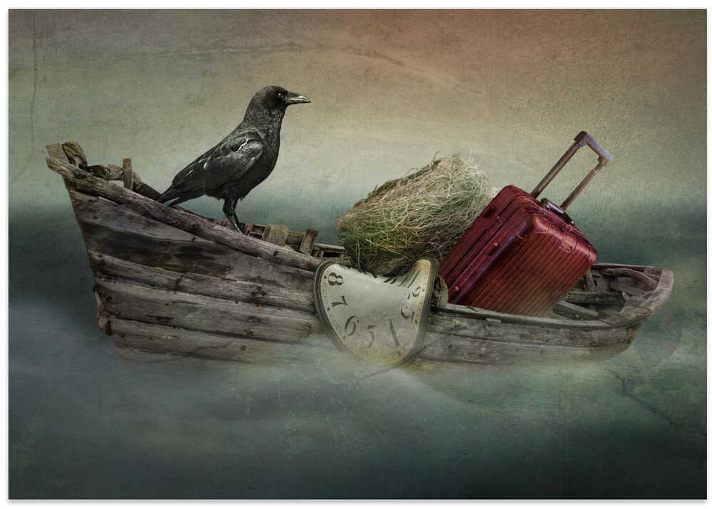 Migration time of bird