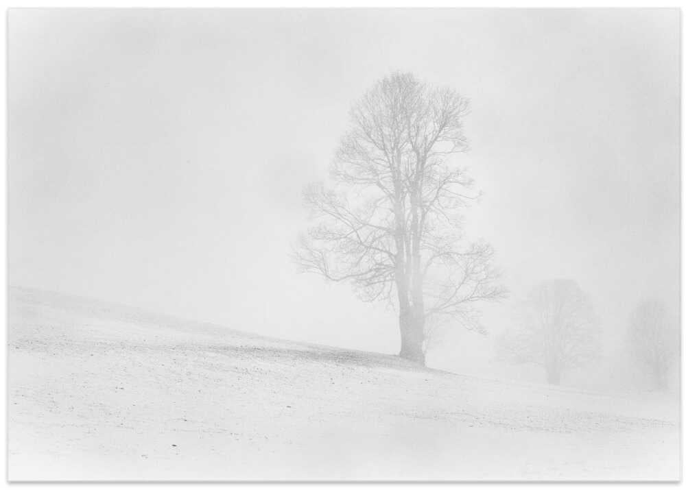 Misty winter in the Allgau