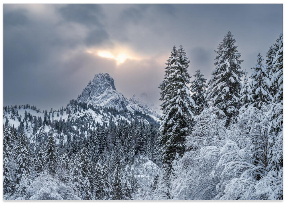 The alpine freshness