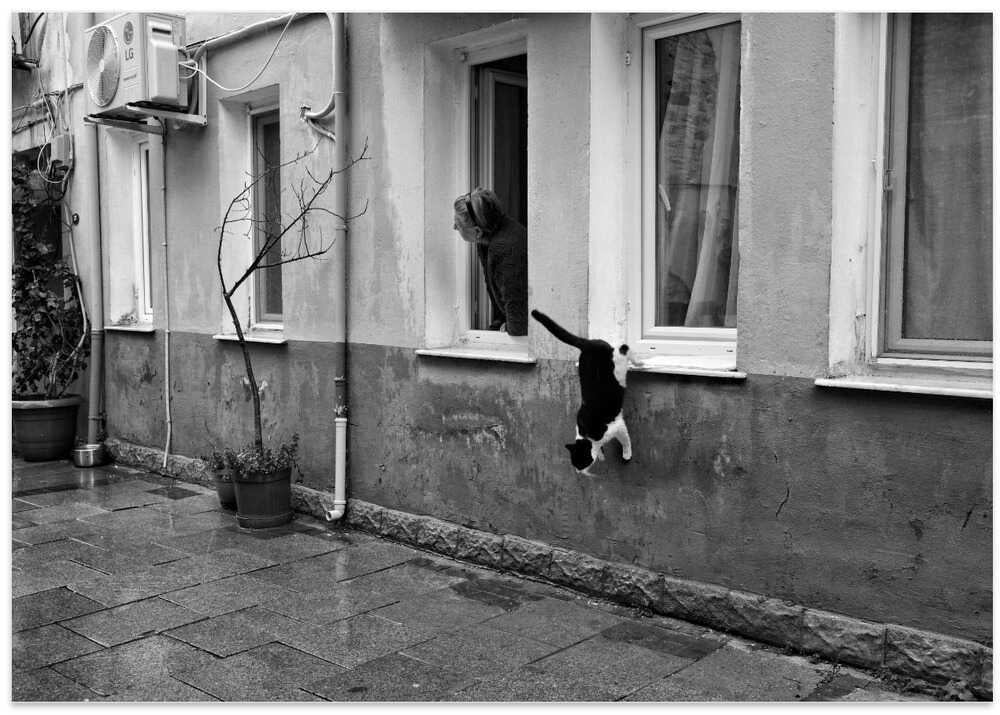 lookinginthesamedirection