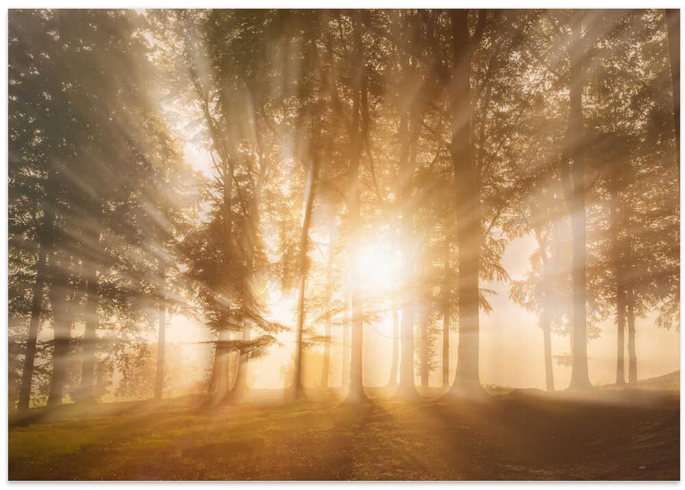 Blinded by the light