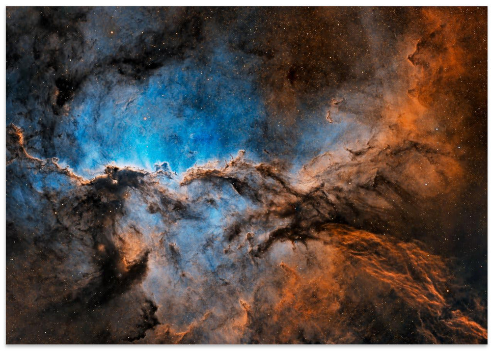 Fighting Dragons of Ara