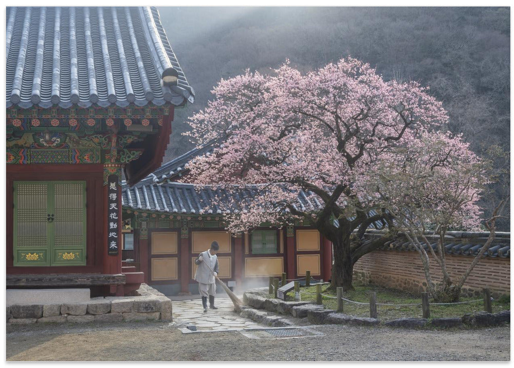 The scent of spring, baekyangsa