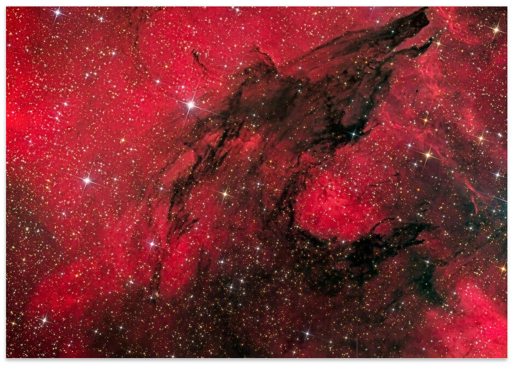 Hungry like the Wolf