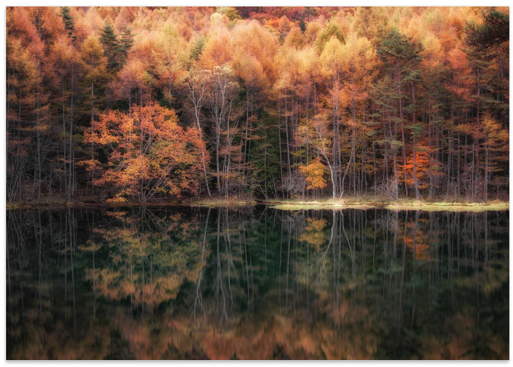 Beautiful reflection in Autumn